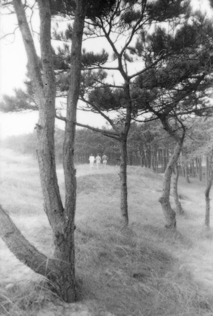 1955 - Wald