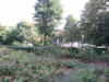 2003 - Rosengarten
