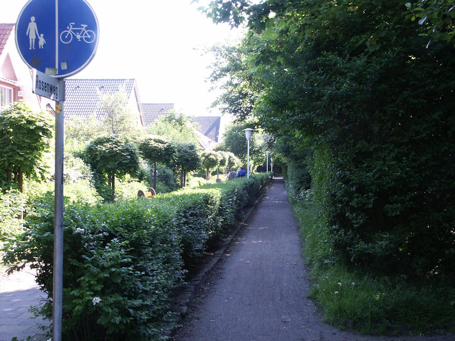 2003 - Rosenweg