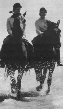 Reiten