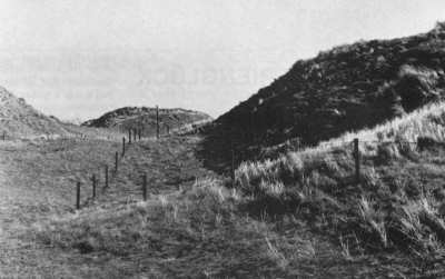 Dünen