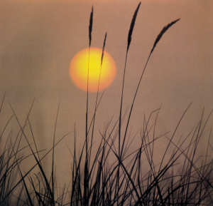 Sonnenuntergang