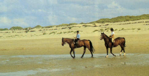 Reiten